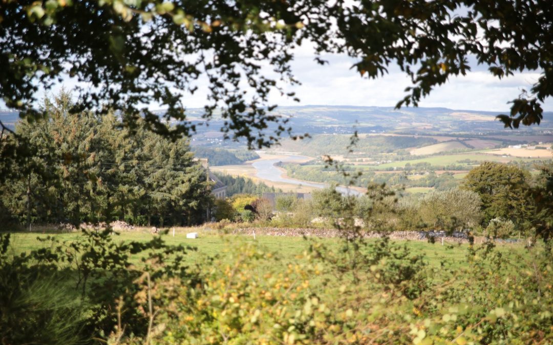 Observatoire de la haie : des inventaires menés dans le département du Finistère àpartir du mois de juin 2026