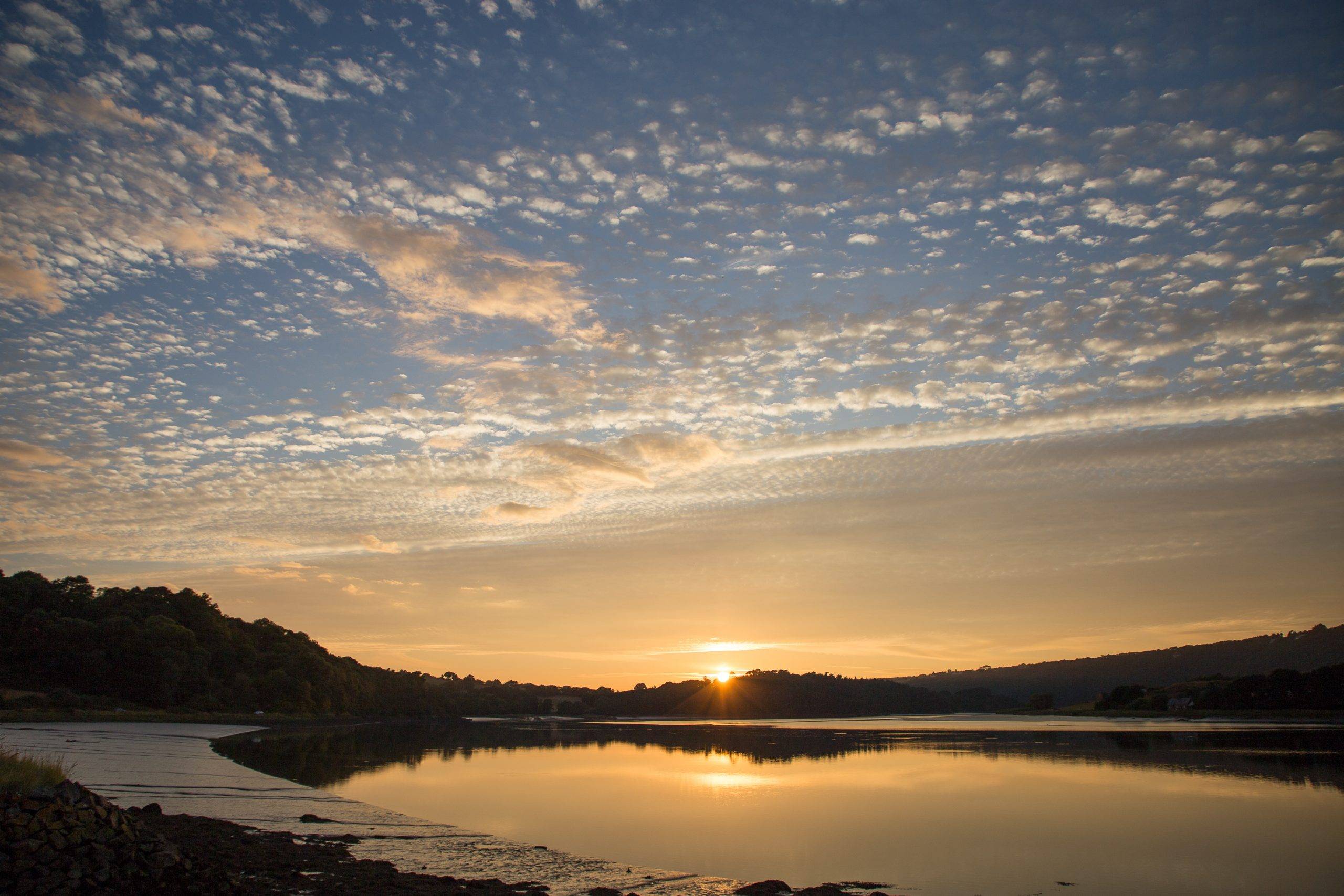Soirée paisible au passage 12.11.24
