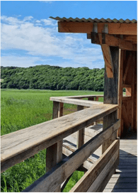 N°8_Clocher en soirée