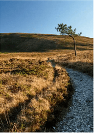 N°8_Clocher en soirée