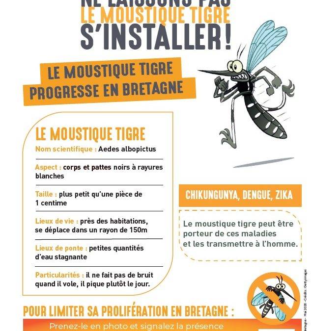 Lutte contre le moustique tigre